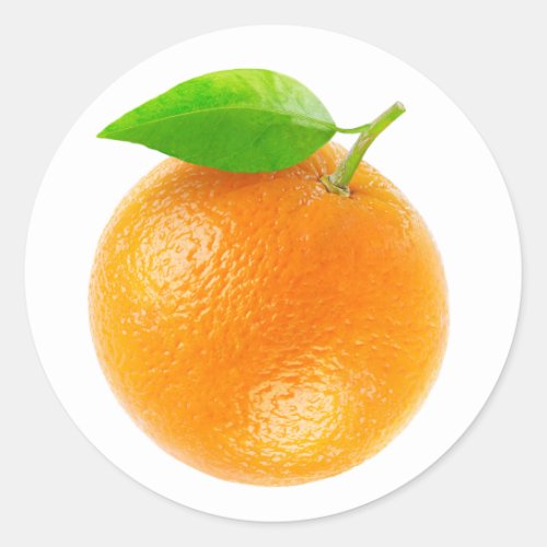 Orange fruit classic round sticker