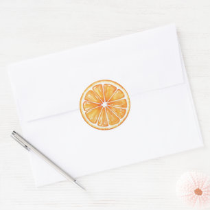 Orange Fruit Classic Round Sticker