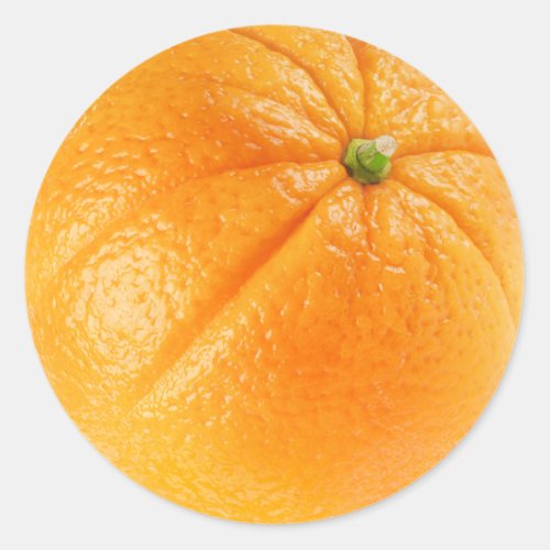 Orange fruit classic round sticker