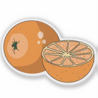 Orange Fruit Illustration Sticker