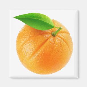 Orange fruit magnet