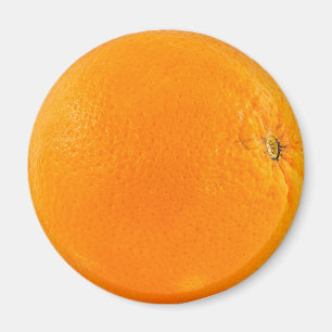 Orange fruit magnet