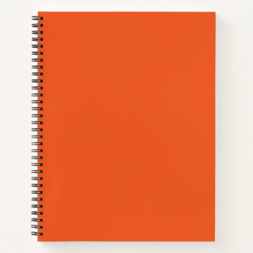 Orange Fruit Notebook