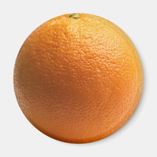 Orange Fruit Refrigerator Magnet (Front)