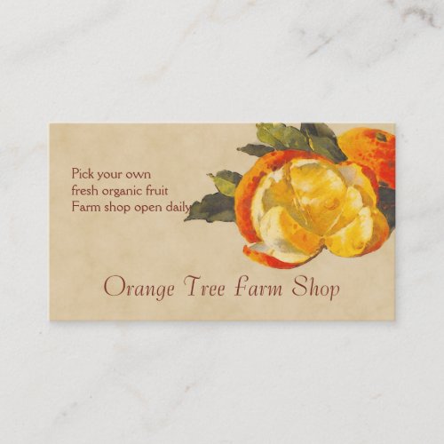 Orange fruit sales business card