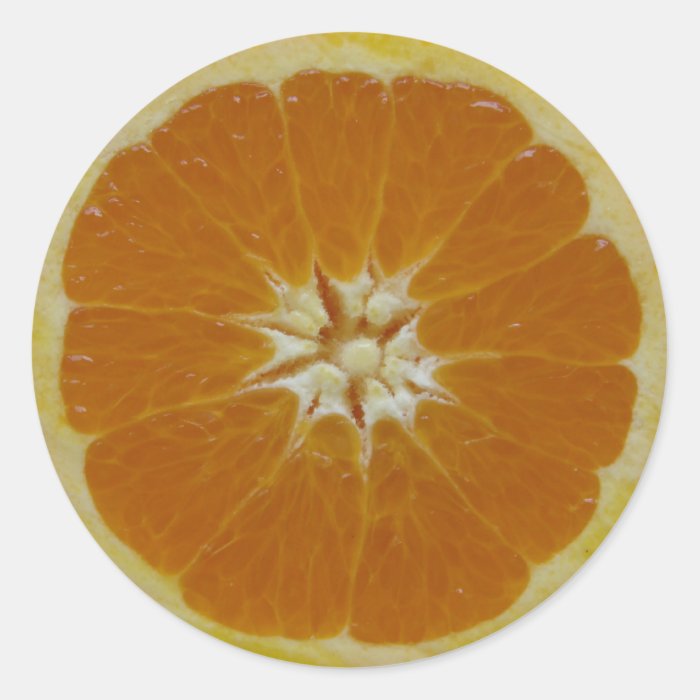 Orange Fruit Slice Stickers