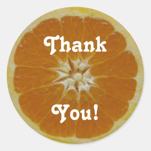 Orange Fruit Slice Thank You Classic Round Sticker