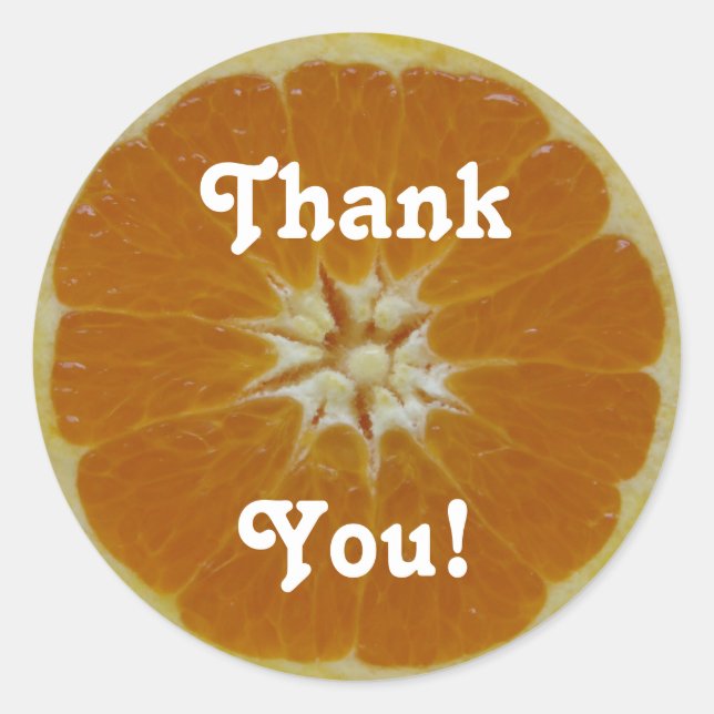 Orange Fruit Slice, Thank, You! Classic Round Sticker (Front)