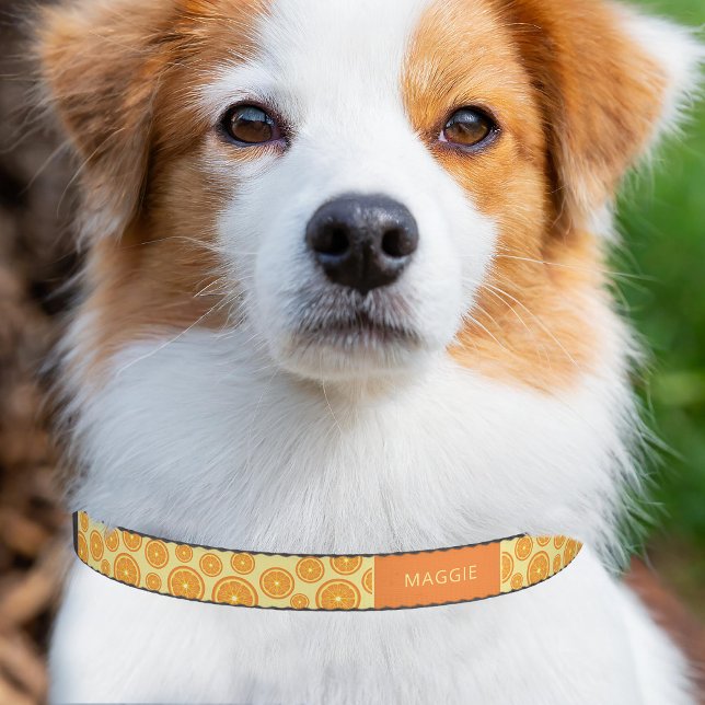 Orange Fruit Slices Pattern & Custom Pet Name Collar (Please note: This image is a digital mockup. The product may not be in scale.)