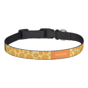 Orange Fruit Slices Pattern & Custom Pet Name Collar