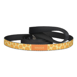 Orange Fruit Slices Pattern & Custom Pet Name Leash