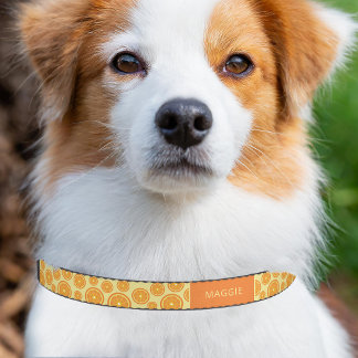 Orange Fruit Slices Pattern & Custom Pet Name Pet Collar