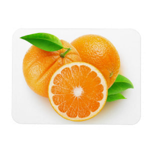 Orange fruits magnet