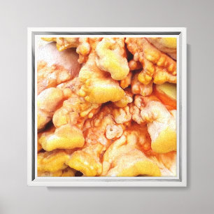 Orange Fungus Canvas Print