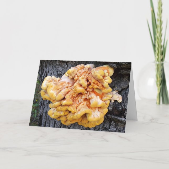 Orange Fungus Card (Front)