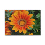 Orange Gazania Post-it Notes