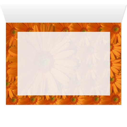 Orange Gerber Daisy (Inside Horizontal (Bottom))