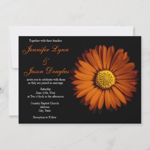 Orange Gerber Daisy Black Wedding Invitations