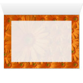 Orange Gerber Daisy Cards (Inside Horizontal (Bottom))