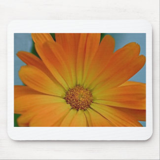 Orange Gerber Daisy Mouse Pad