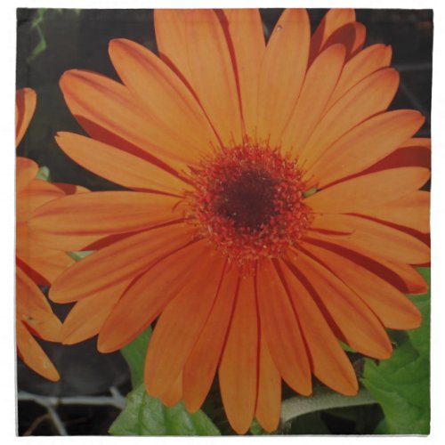 Orange Gerber gerbera Daisy daisie Cloth Napkin