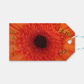 Orange Gerbera Close Up Happy Birthday Gift Tag