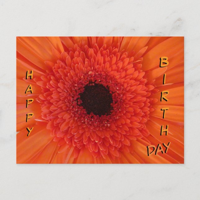 Orange Gerbera Close Up Happy Birthday Postcard (Front)