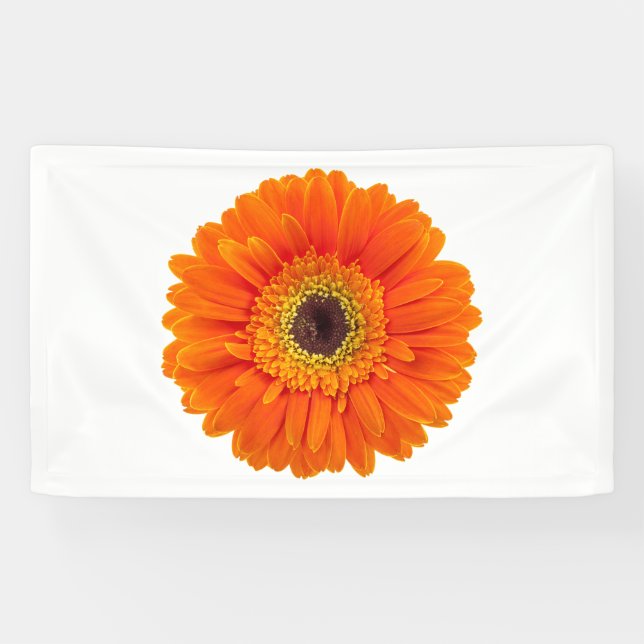 Orange Gerbera Daisy Banner (Horizontal)