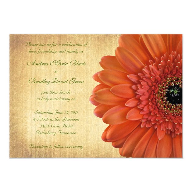 Orange Gerbera Daisy Fall Wedding Invitation