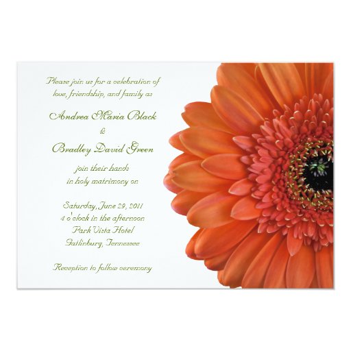 Orange Gerber Daisy Wedding Invitations 4