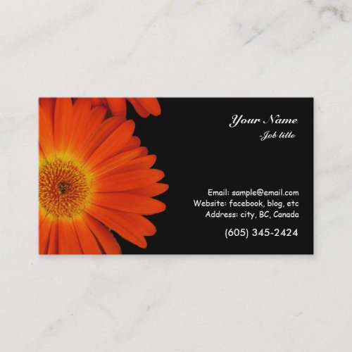 orange gerbera daisy flowers business card templates