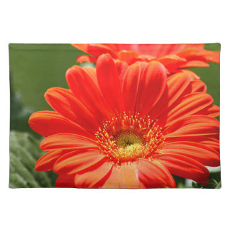 Orange Gerbera Daisy Place Mats