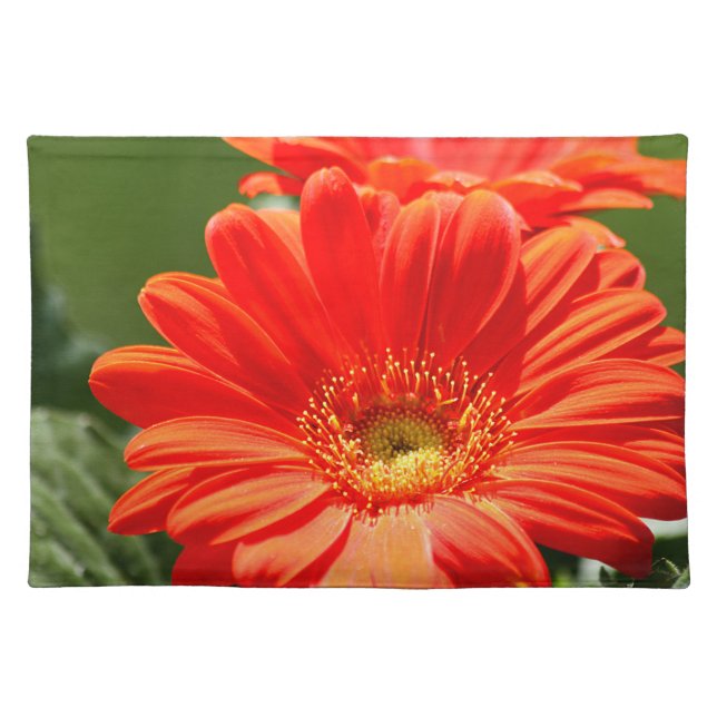 Orange Gerbera Daisy Place Mats (Front)