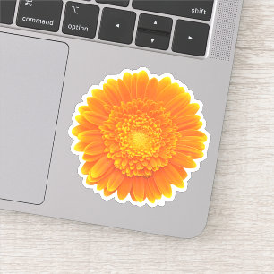 orange gerbera daisy sticker