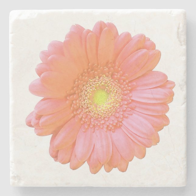 Orange gerbera daisy stone coaster (Front)