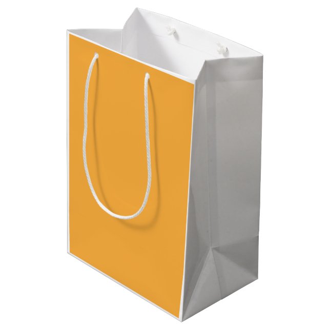 Orange Gift Bag Medium Paper Gift Bag Minimal (Back Angled)