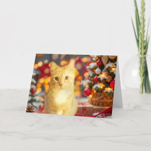 Orange Ginger Cat Cute Christmas Holiday Card