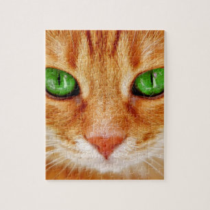 ORANGE GINGER CAT KITTEN PUZZLE
