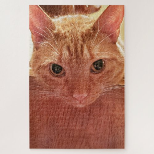 OrangeGinger Cute and Fuzzy Tabby Cat Jigsaw Puzzle