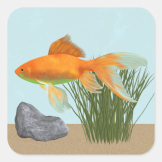 Orange Goldfish Nature Aquarium Sticker Sheet
