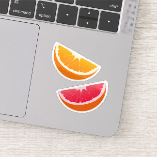 Orange & Grapefruit Citrus Stickers