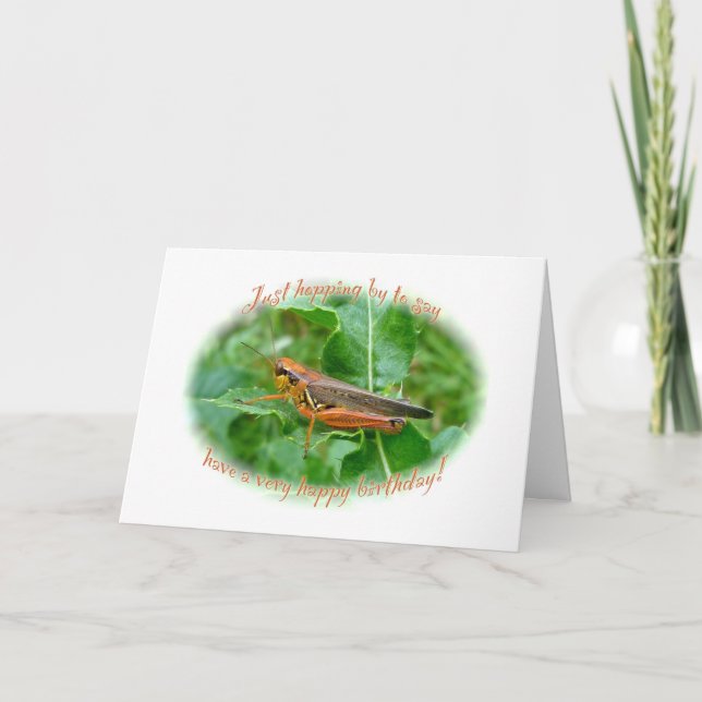 Orange Grasshopper Birthday Card (Front)