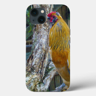 Orange Gray Fluffy Rooster, iPhone 13 Case