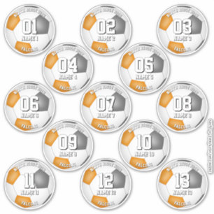 orange gray soccer team colors 13 athletes sticker
