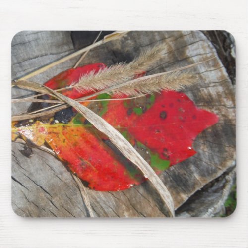 orange green yellow and fall leaf and dried grass mouse pad