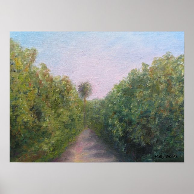 ORANGE GROVE IN CITRA, FLORIDA POSTER (Front)