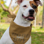 Orange Grunge Good Boy Custom Name Pet Bandana<br><div class="desc">All you want is to add a pop of attitude to your dog's vibe, and this grunge copper orange bandana is a great addition his wardrobe! In a modern minimalist aesthetic, the words 'GOOD BOY' are stenciled in the background and his name is written in a cool masculine font across...</div>
