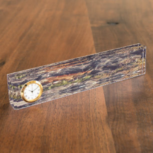 Orange Guana Art Desk Name Plate