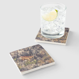 Orange Guana Art Stone Coaster