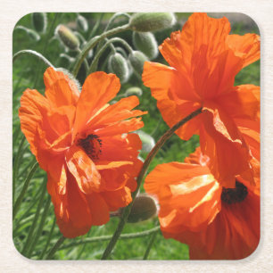 Orange Harvest Moon Oriental Poppies Square Paper Coaster